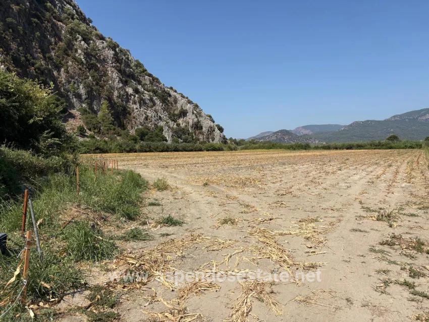 Для продажи Поле в Dalyan Ortaca - Под Поле застройку - 20.786 m²