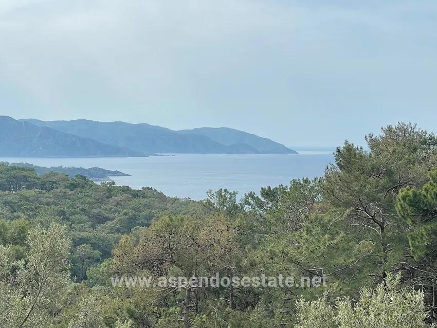 Для продажи Поле в Ekincik Köyceğiz - Под Оливковая роща застройку - 7.000 m²