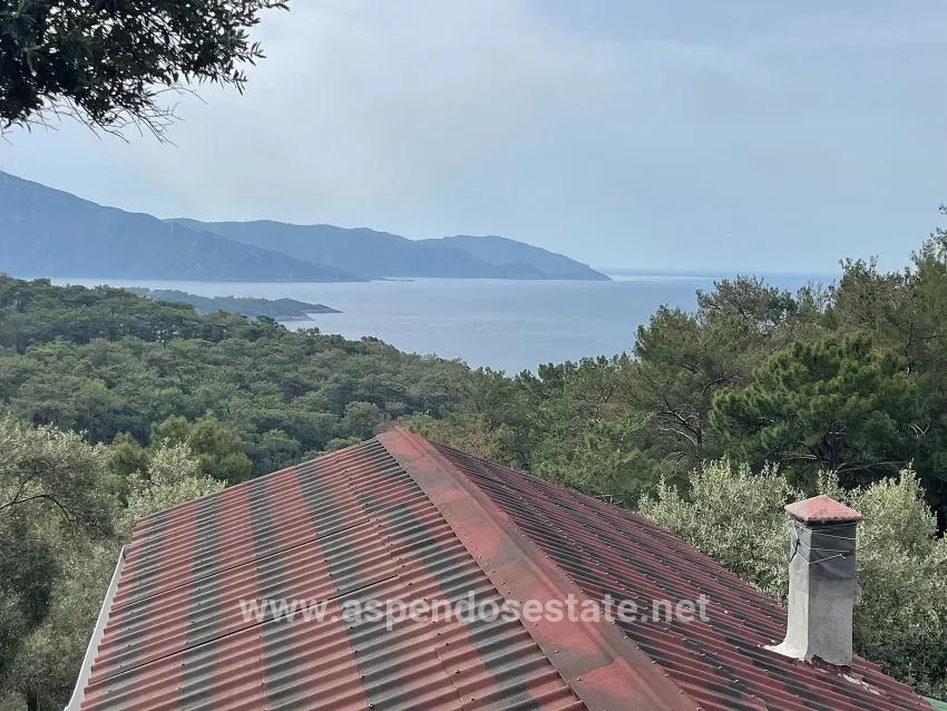 Для продажи Поле в Ekincik Köyceğiz - Под Оливковая роща застройку - 7.000 m²