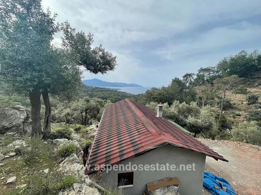 Для продажи Поле в Ekincik Köyceğiz - Под Оливковая роща застройку - 7.000 m²