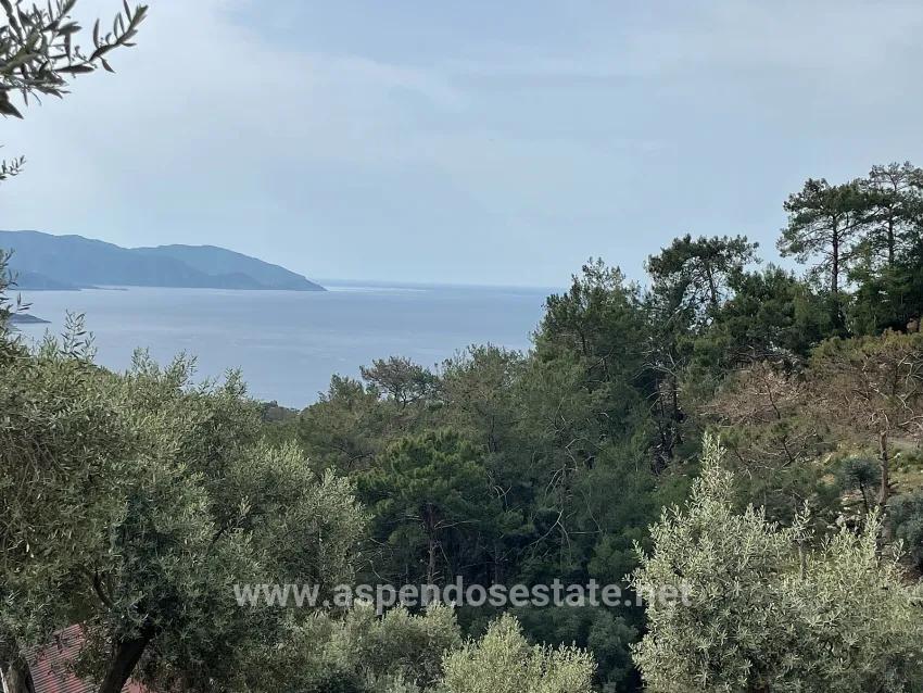 Для продажи Поле в Ekincik Köyceğiz - Под Оливковая роща застройку - 7.000 m²
