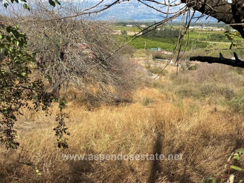 Для продажи Поле в Dalyan Ortaca - Под Поле застройку - 5.000 m²