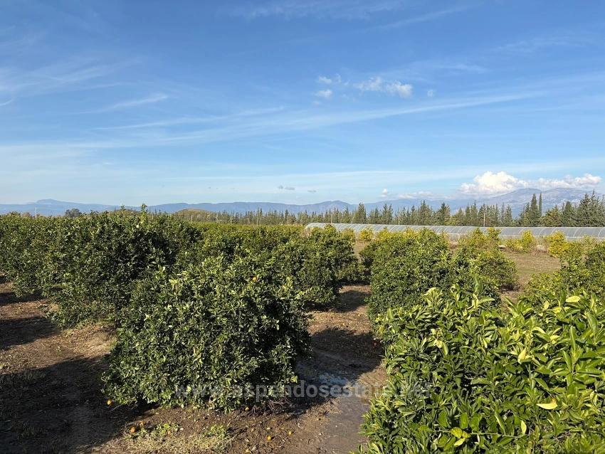 Вилла 4+1 На Продажу В Эскикёе, Расположенная На Участке Площадью 14 136 М2