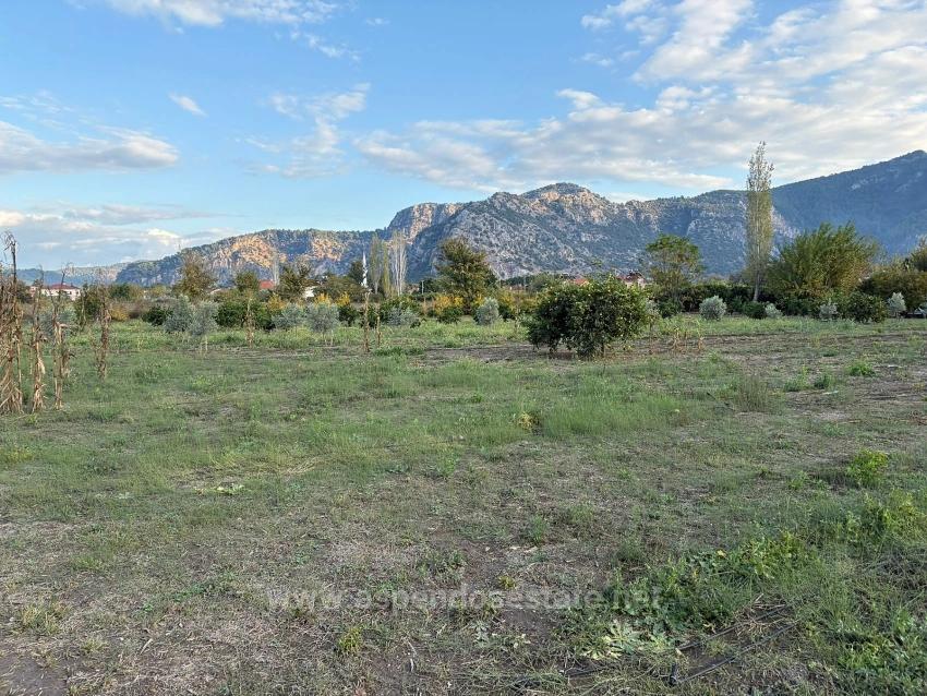 В Дальяне Продается Земельный Участок Площадью 7450 М² С Зонированием 5%.