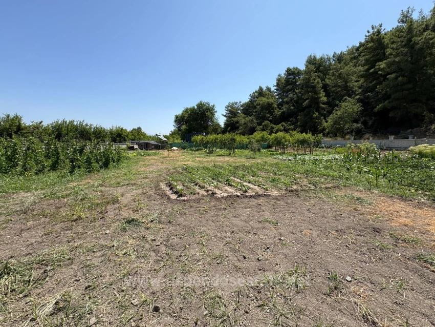 Отдельно Стоящий Деревянный Дом Площадью 120 М² На Участке Площадью 2500 М² В Районе Дальян Карадаг.