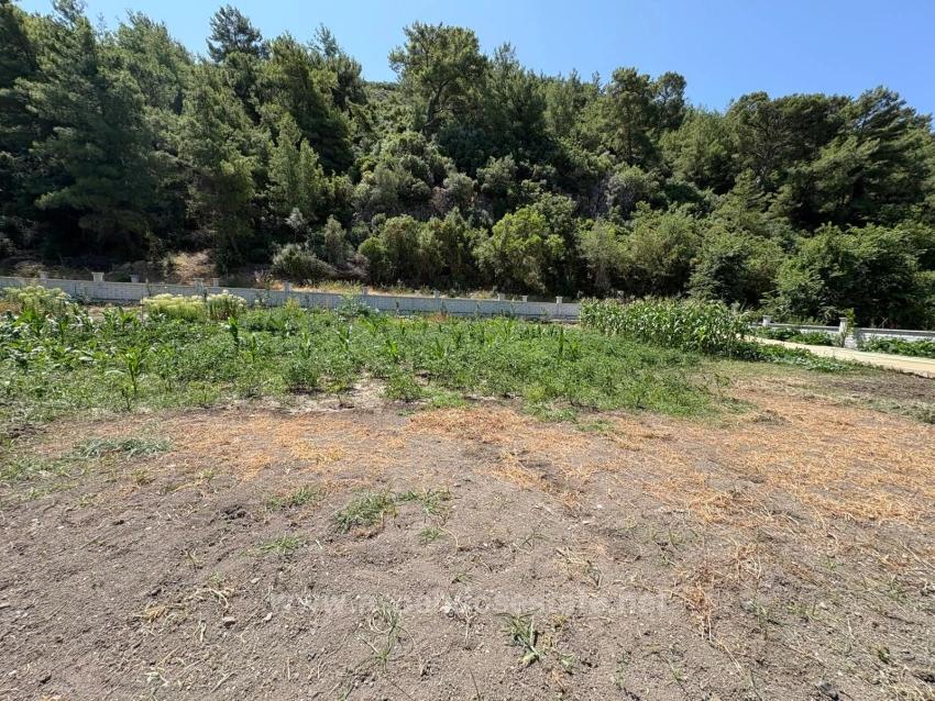 Отдельно Стоящий Деревянный Дом Площадью 120 М² На Участке Площадью 2500 М² В Районе Дальян Карадаг.