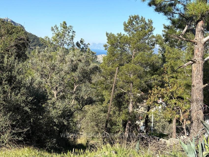 Продается Земельный Участок Площадью 1000 М2 С Видом На Море В Жилом Районе Деревни Гёкбель.