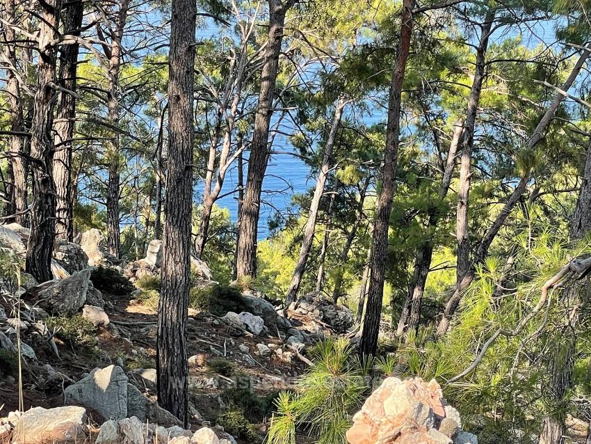 Выгодная Земля На Продажу С Видом На Море В Районе Экинджик-Чандыр.