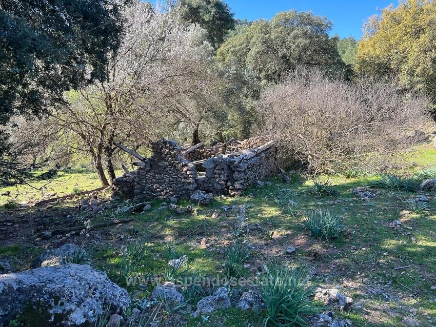 Продается Земельный Участок В Гёкбеле, В Окружении Природы И Леса.