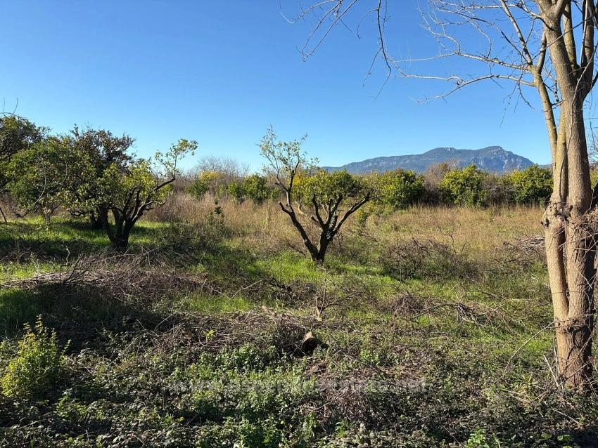 Продается Земельный Участок В Экшилиюрте, С Разрешением На Застройку, Площадью 1085 М2.