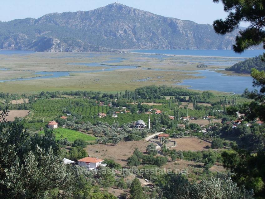 Для Продажи Поле в Çandır Köyceğiz - Под Поле застройку - 19.334 m²