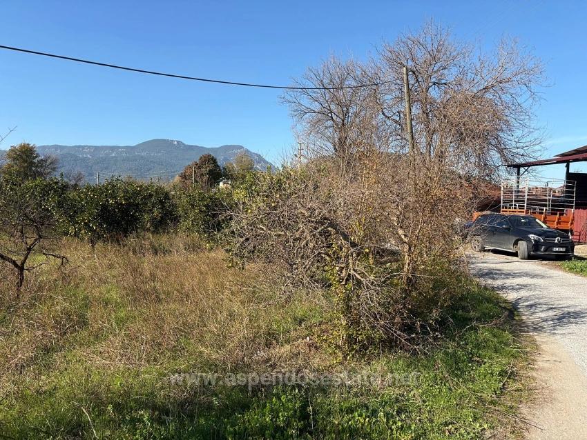 Продается Сад Площадью 4541 М² В Дальяне.