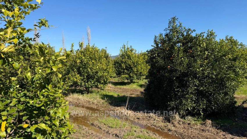 Продается Земельный Участок Площадью 2 218 М² В Окчуларе, Мармарис.