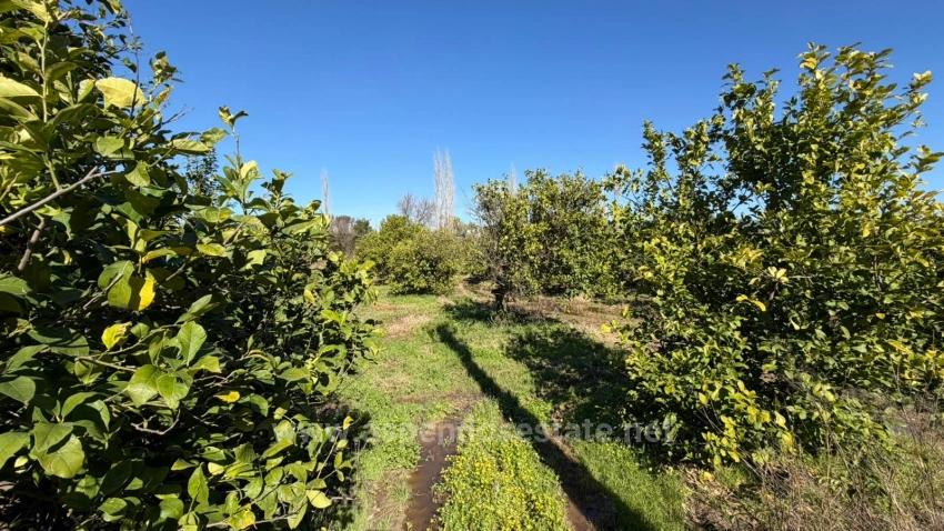 Продается Земельный Участок Площадью 2 218 М² В Окчуларе, Мармарис.