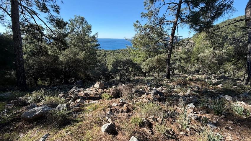 Поле 2B Площадью 5715 М2 С Панорамным Видом На Море В Чандыре