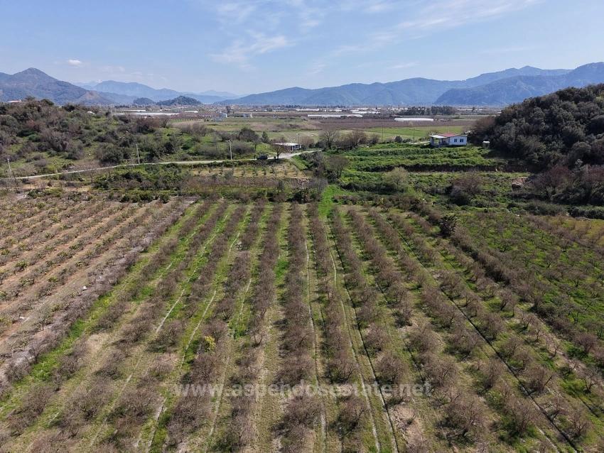 Гранатовый Сад Площадью 16.710 М2 На Продажу С Видом На Озеро В Эскикёй