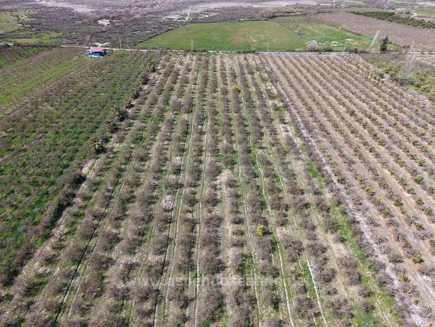 Гранатовый Сад Площадью 16.710 М2 На Продажу С Видом На Озеро В Эскикёй