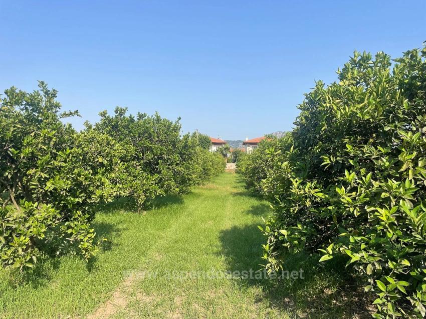 Земля 722М2 На Продажу В Дальян Гюльпынар