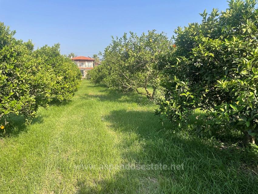 Земля 722М2 На Продажу В Дальян Гюльпынар