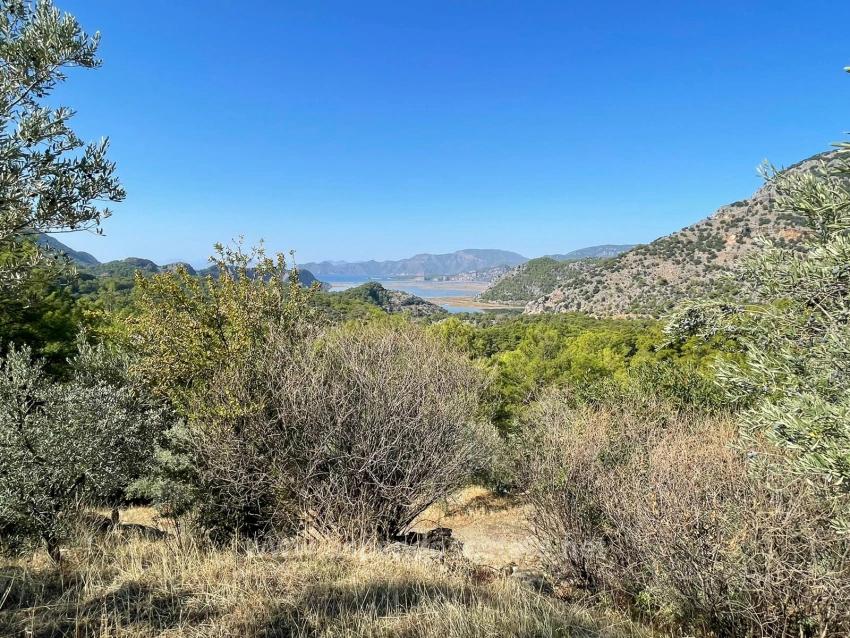 Земля 3514M2 На Продажу С Панорамным Видом На Море В Гёкбеле