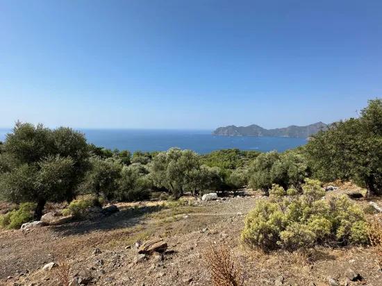 В Çandır с видом на море 21.000 m2 продаётся 2b поле
