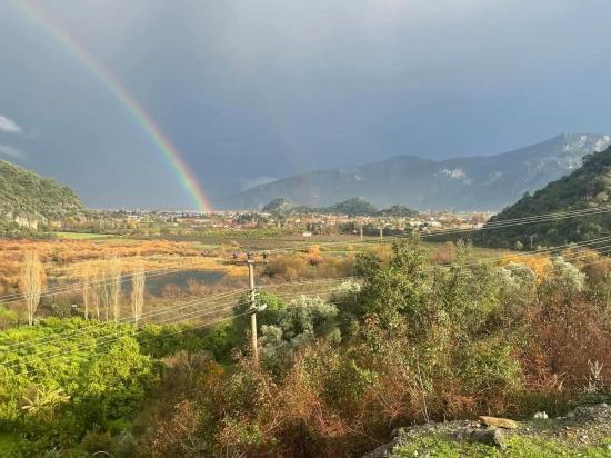 Продается Земля Площадью 35 000 М² В Чандыре, Кёйджегиз.