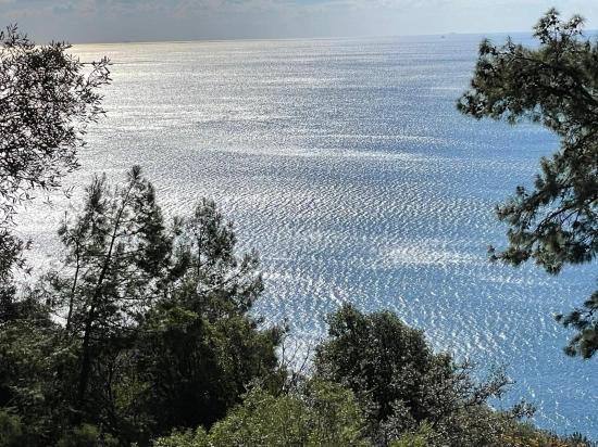 Чандыр 20.000m2 2b С Полным Видом На Море На Продажу