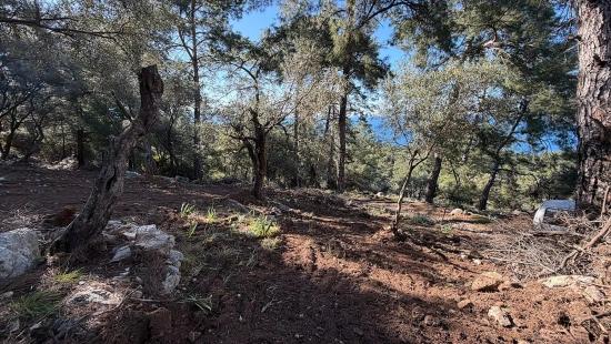 Поле 2B Площадью 5715 М2 С Панорамным Видом На Море В Чандыре