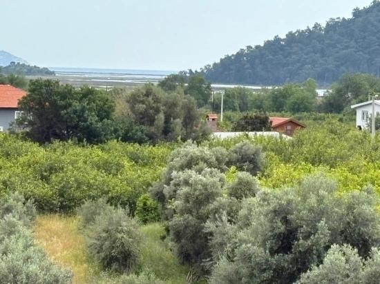 Продается Поле Площадью 1.721М2 С Видом На Море И Озеро В Деревне Чандыр