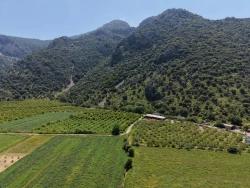 Для Продажи Поле в Dalyan Ortaca - Под Поле застройку - 5.100 m²
