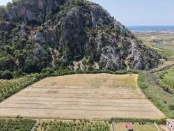 Для продажи Поле в Dalyan Ortaca - Под Поле застройку - 20.786 m²