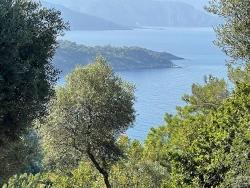 Для Продажи Поле в Çandır Köyceğiz - Под Жилье застройку - 10.481 m²