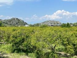 Для Продажи Сюжет в Dalyan Ortaca - Под Жилье застройку - 5.100 m²