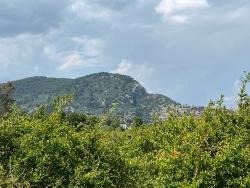 Для Продажи Сюжет в Dalyan Ortaca - Под Жилье застройку - 5.100 m²