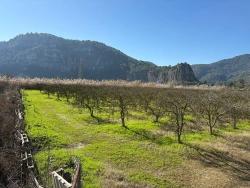 Для Продажи Сюжет в Dalyan Ortaca - Под Жилье застройку - 5.985 m²