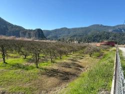 Для Продажи Сюжет в Dalyan Ortaca - Под Жилье застройку - 5.985 m²