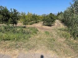 Для Продажи Поле в Dalyan Ortaca - Под Жилье застройку - 10.000 m²
