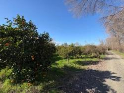 Для Продажи Сюжет в Okçular Ortaca - Под Жилье застройку - 4.326 m²