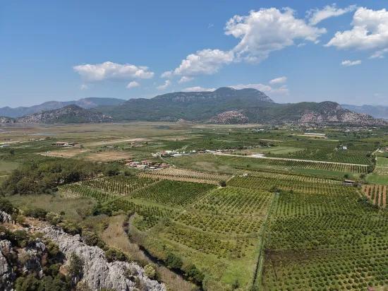В Далиане 20.786м2 Продажа Поля