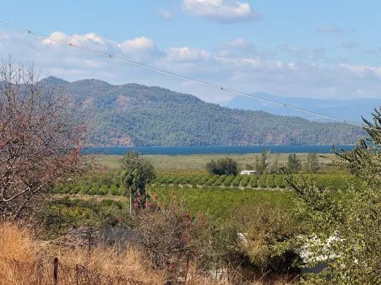 Поле Площадью 5.000m2 С Видом На Озеро В Dalyan Karadağ Продаётся