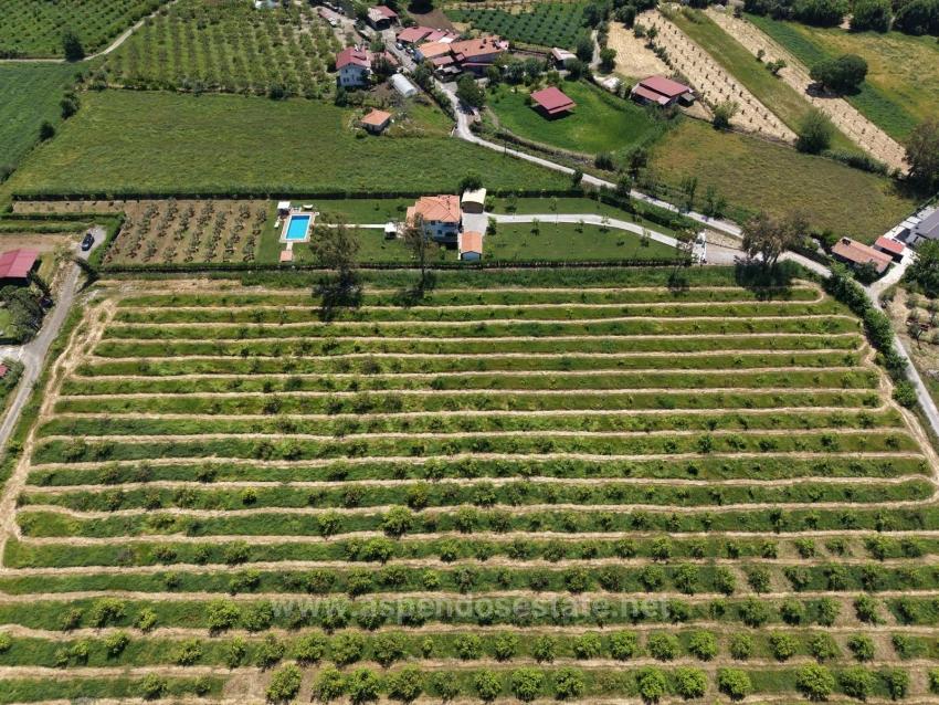 Dalyan Merkeze Yakın 5100M2 Satılık Tarla