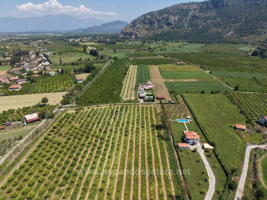 Dalyan Merkeze Yakın 5100M2 Satılık Tarla