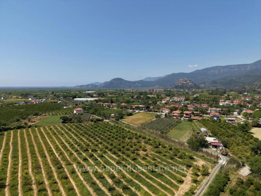 Dalyan Merkeze Yakın 5100M2 Satılık Tarla