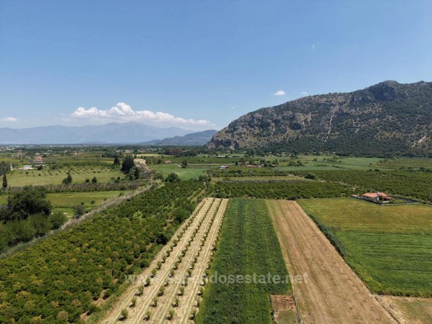 Dalyan Merkeze Yakın 5100M2 Satılık Tarla