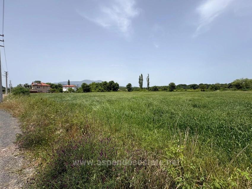 Okçular Marmarlı'da 2390M2 Satılık Arsa