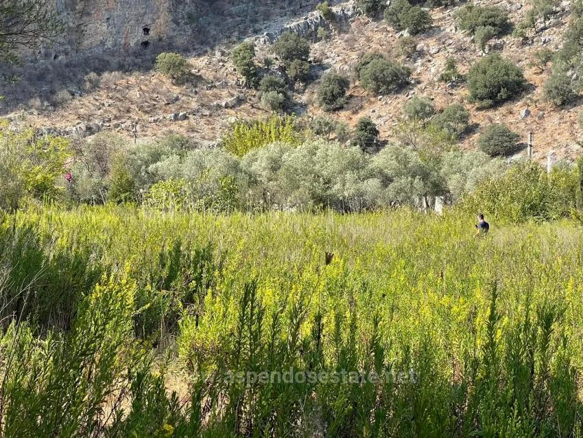 Çandır'da Kanala Sıfır 2765M2 Satılık Müstakil Ev
