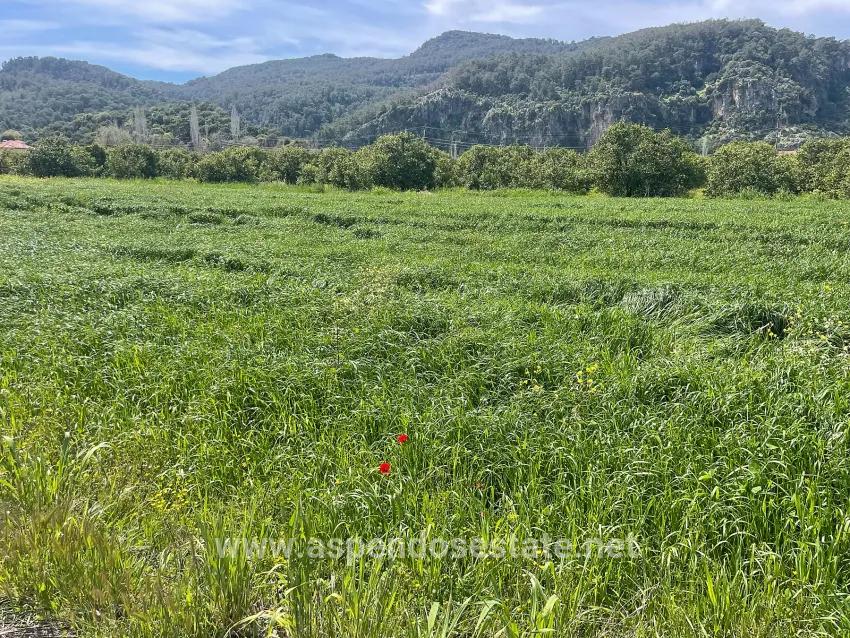 Ortaca Okçular Mah. Satılık Arsa - Konut İmar Durumlu - 736 m²