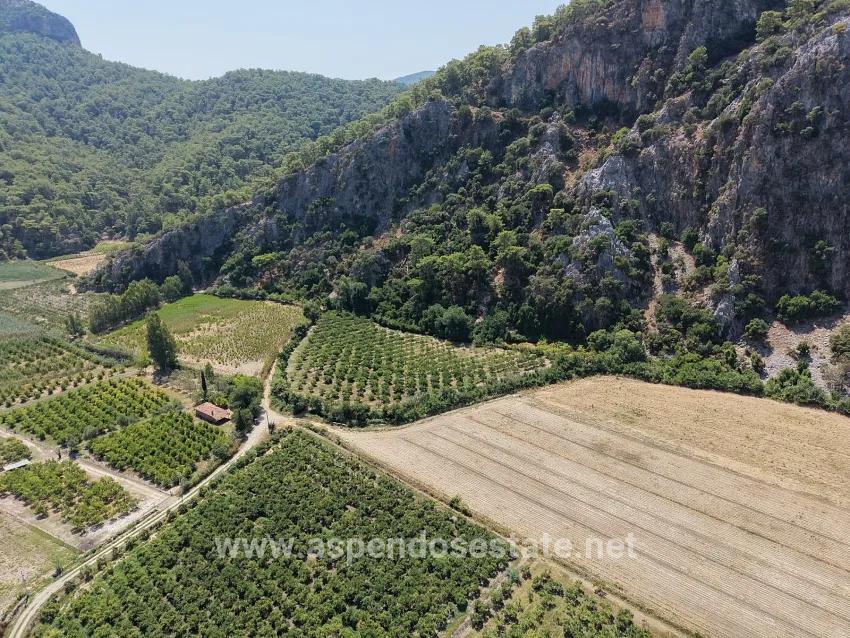 Ortaca Dalyan Mah. Satılık Tarla - Tarla İmar Durumlu - 20.786 m²