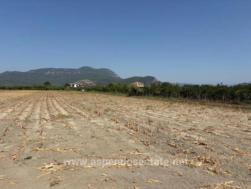 Ortaca Dalyan Mah. Satılık Tarla - Tarla İmar Durumlu - 20.786 m²