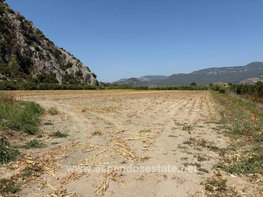 Ortaca Dalyan Mah. Satılık Tarla - Tarla İmar Durumlu - 20.786 m²